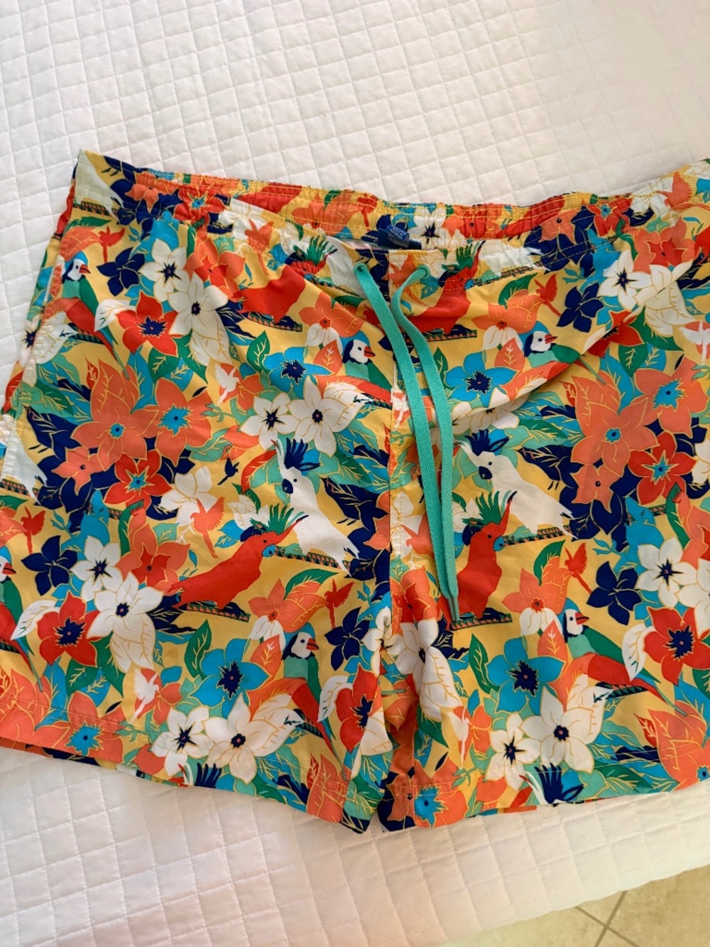 Men’s swim
